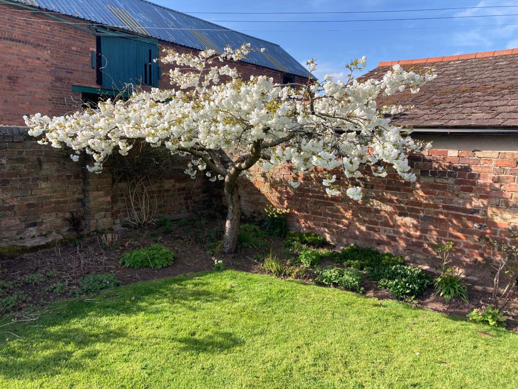 Church Farm B&B Near Telford And Ironbridge Shifnal Buitenkant foto