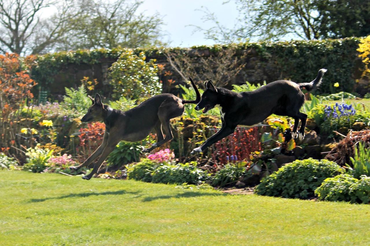 Church Farm B&B Near Telford And Ironbridge Shifnal Buitenkant foto